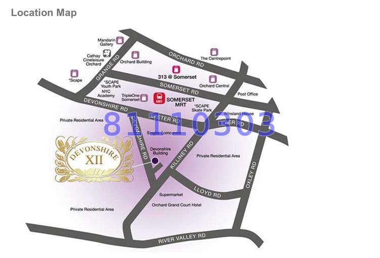 Devonshire 12 (D9), Apartment #66138652
